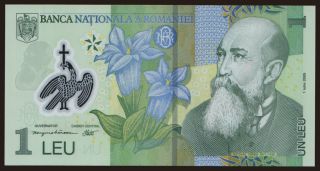 1 leu, 2005