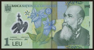 1 leu, 2005