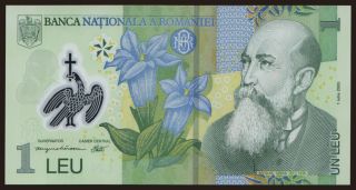 1 leu, 2005