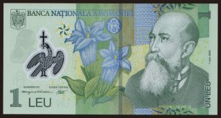 1 leu, 2005
