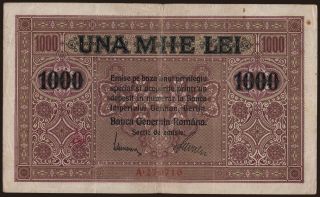 1000 lei, 1917