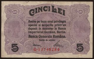 5 lei, 1917