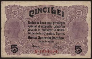 5 lei, 1917