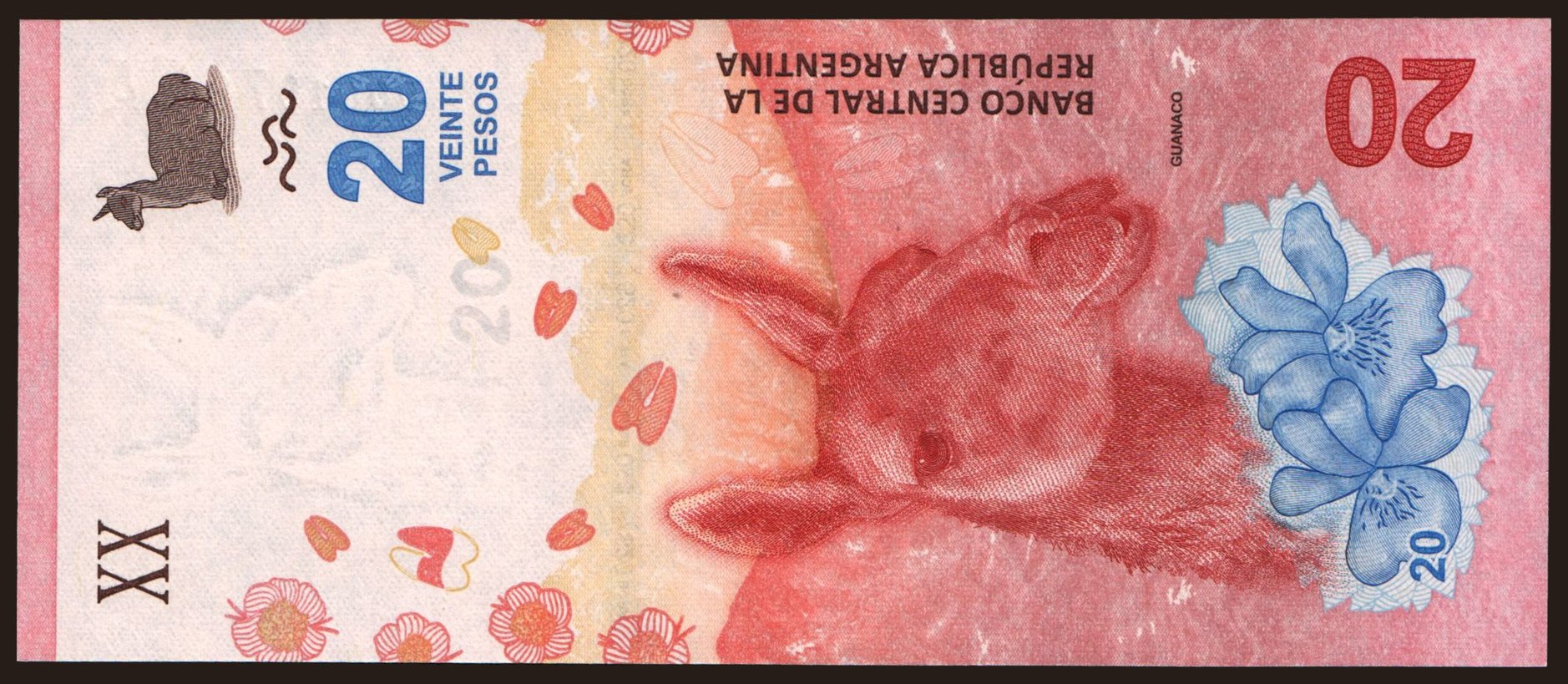 20 pesos, 2017