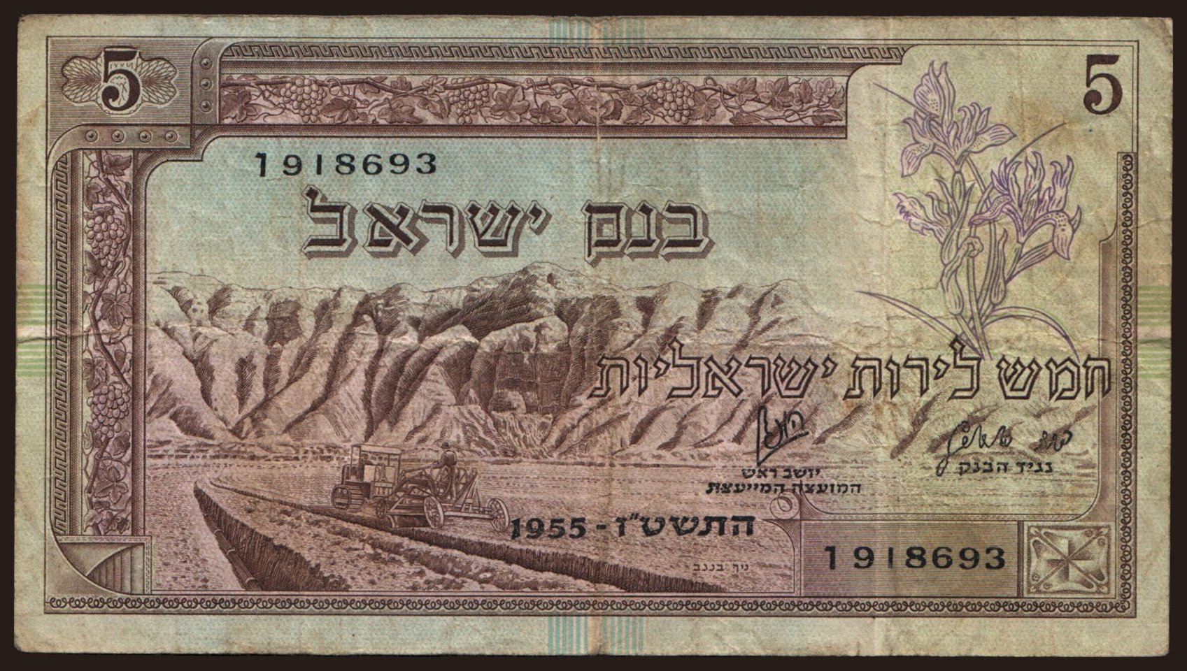 5 lirot, 1955