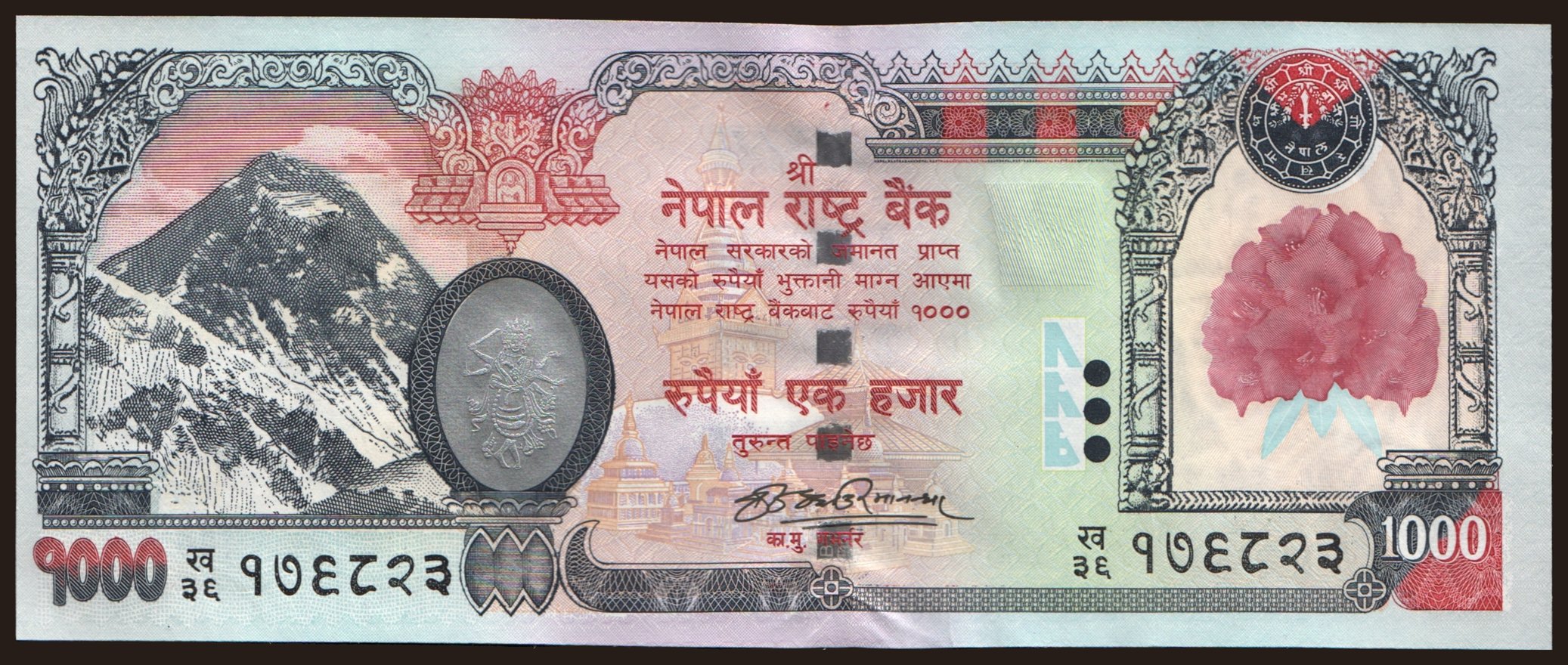 1000 rupees, 2008