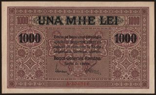 1000 lei, 1917