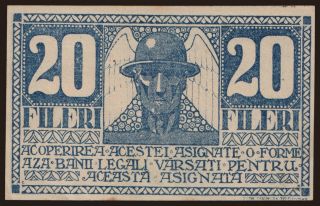 Timisoara, 20 fileri, 1919