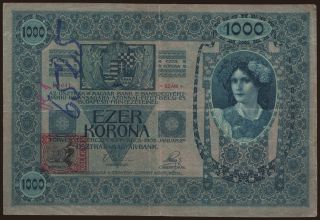 1000 korun, 1902(19)